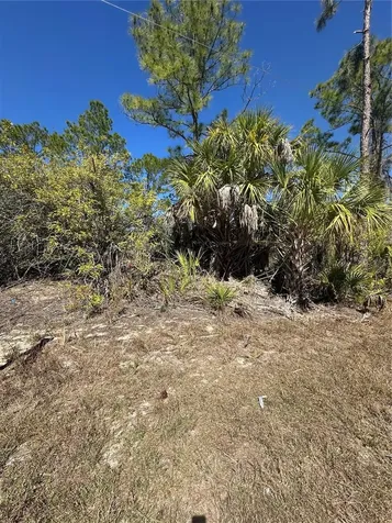 Henning Street North Port FL 34288