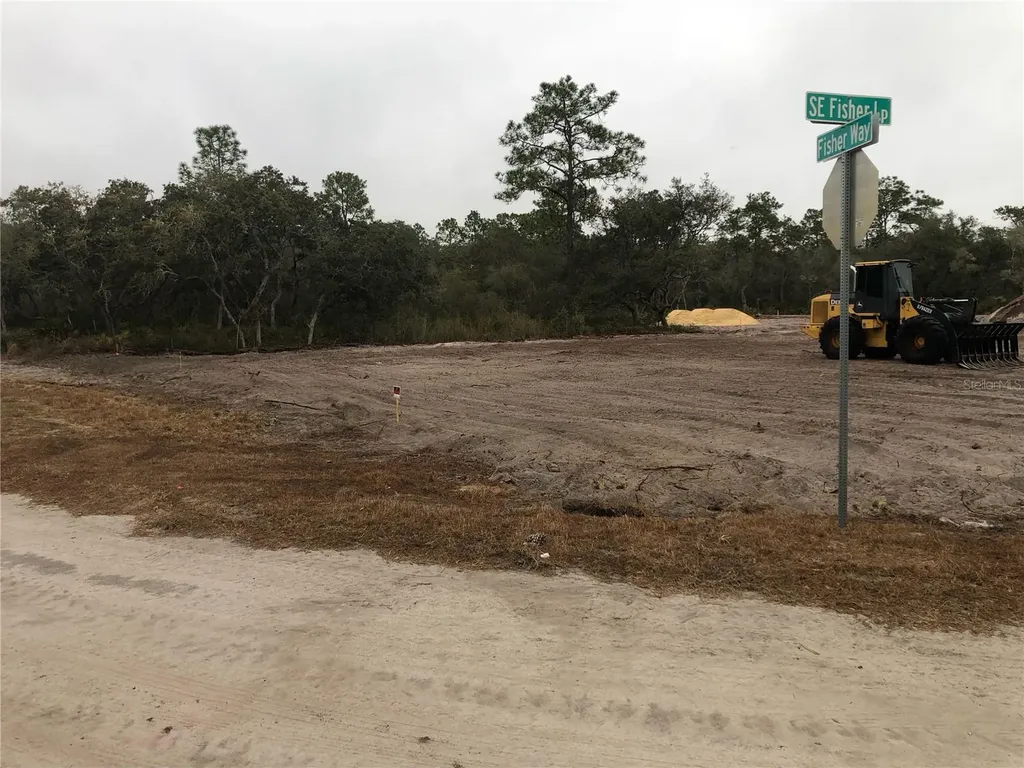 000 Fisher Loop Ocklawaha FL 32179
