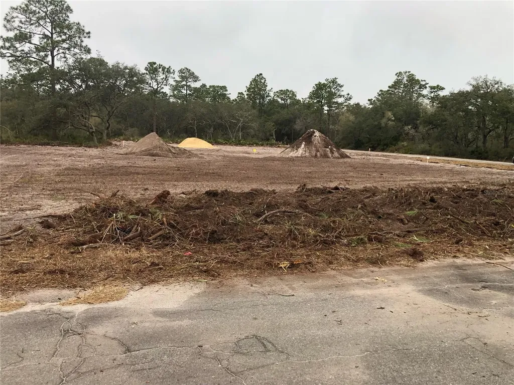 000 Fisher Loop Ocklawaha FL 32179