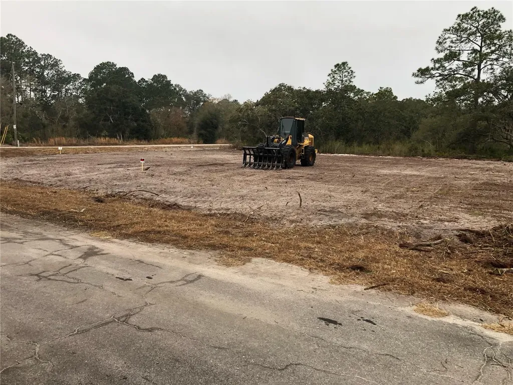000 Fisher Loop Ocklawaha FL 32179