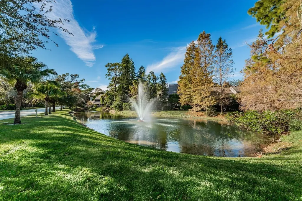 802 Lennox Road W Palm Harbor FL 34683
