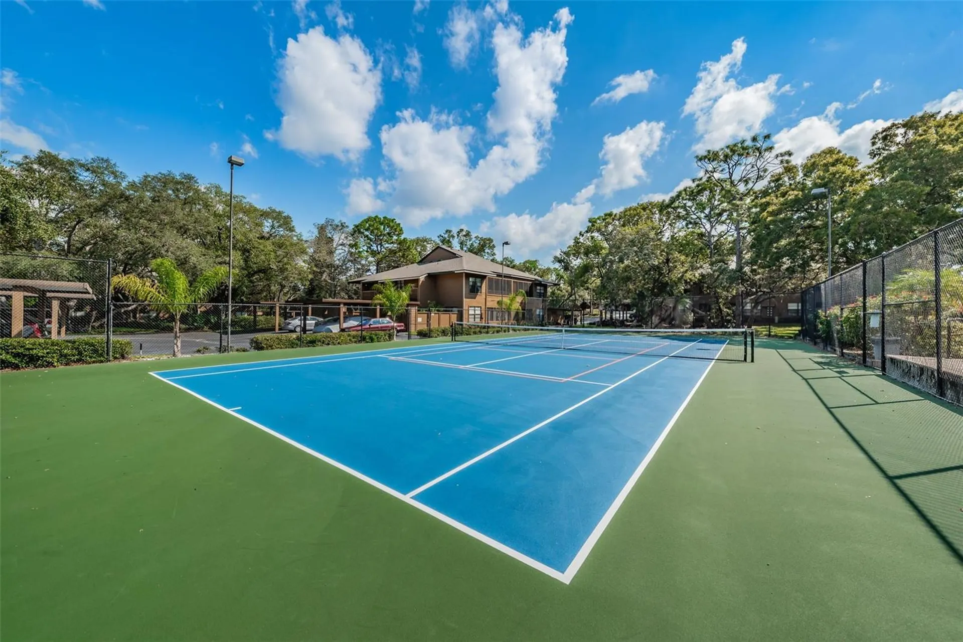 802 Lennox Road W Palm Harbor FL 34683