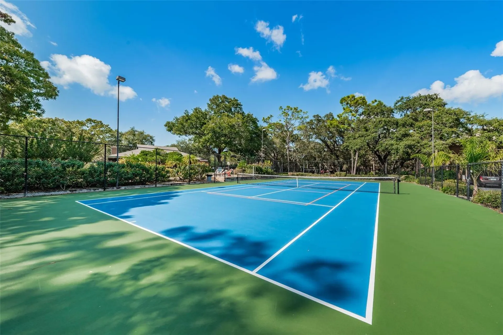 802 Lennox Road W Palm Harbor FL 34683