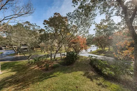 802 Lennox Road W Palm Harbor FL 34683