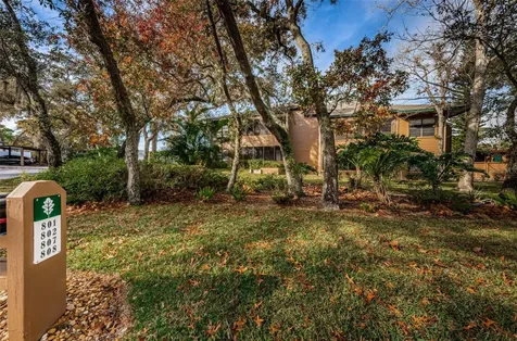 802 Lennox Road W Palm Harbor FL 34683