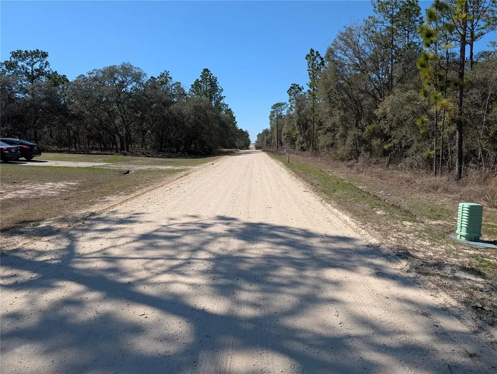 SW 81st Street Dunnellon FL 34432