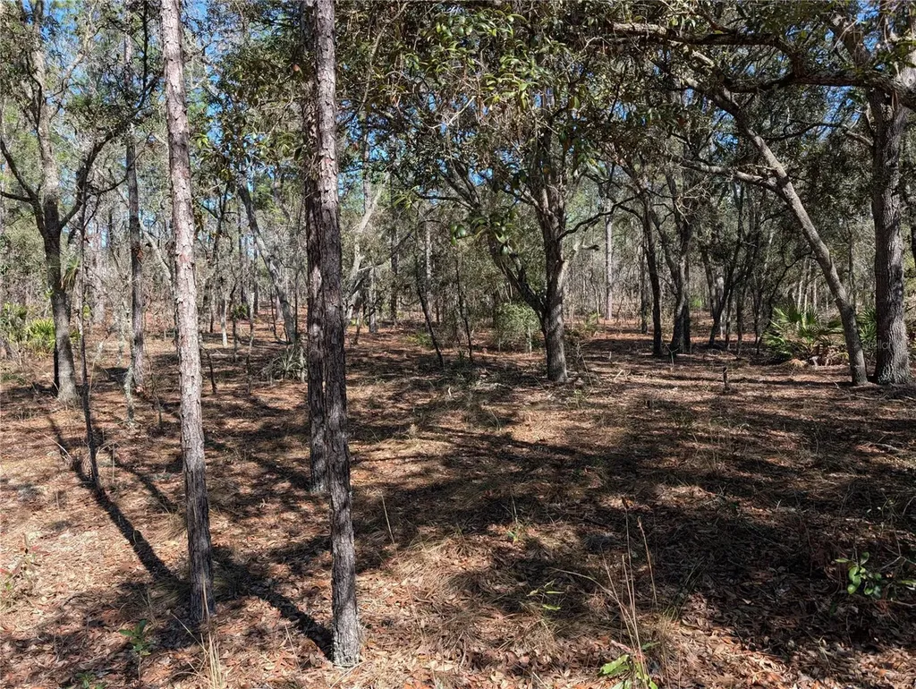SW 81st Street Dunnellon FL 34432