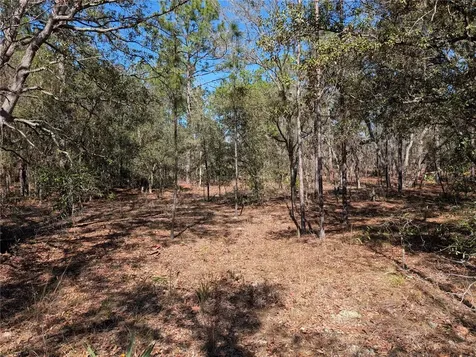 SW 81st Street Dunnellon FL 34432