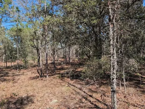 SW 81st Street Dunnellon FL 34432