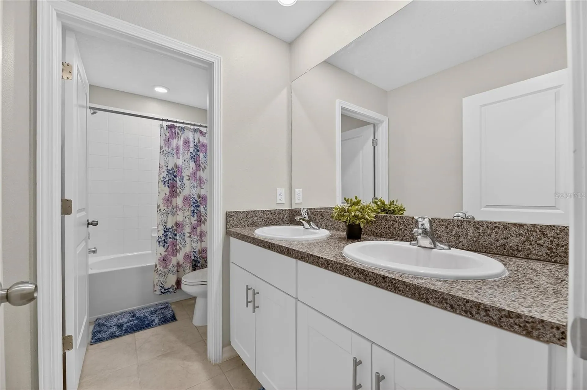 16791 Delia Street Wimauma FL 33598