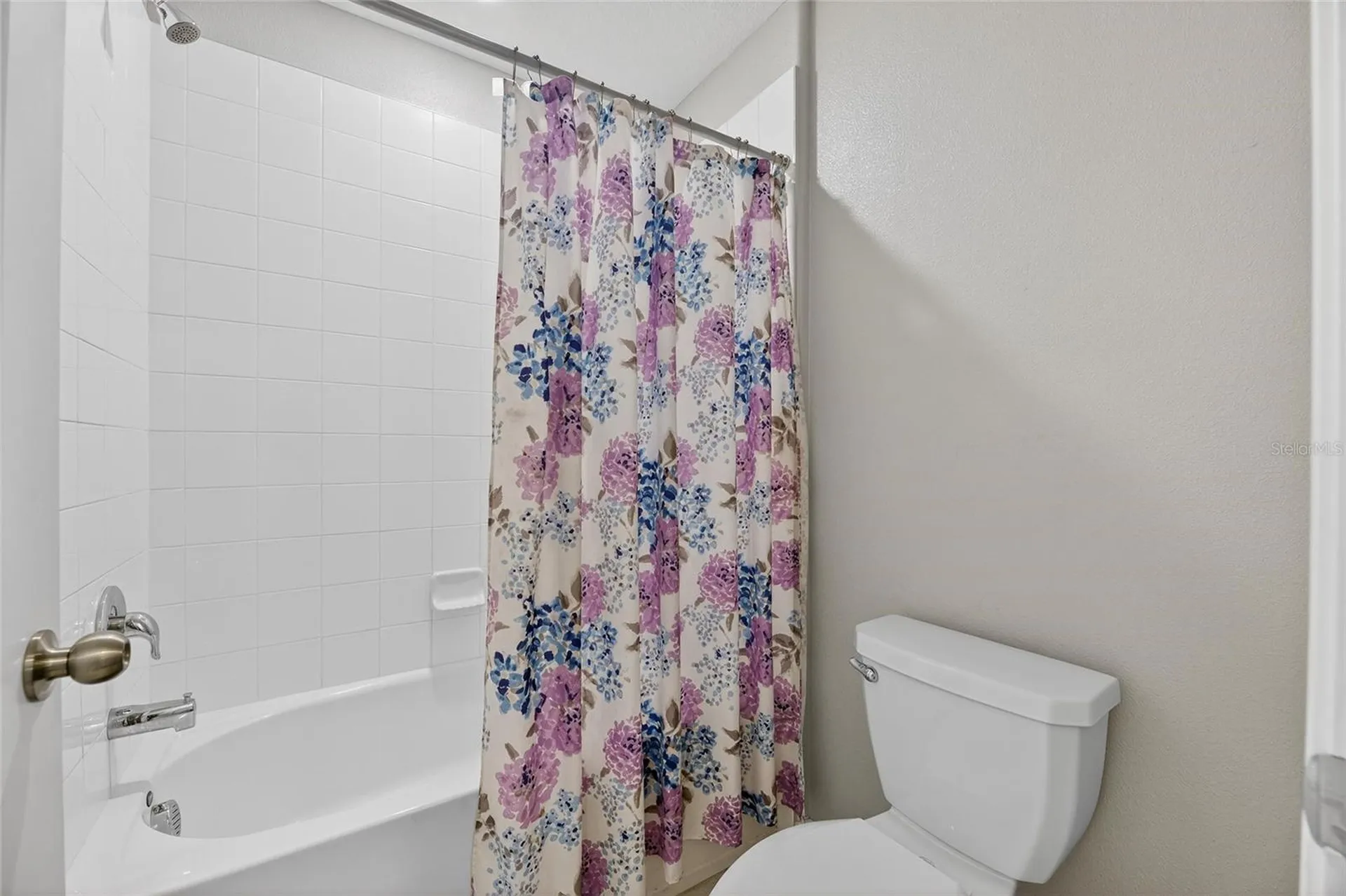 16791 Delia Street Wimauma FL 33598