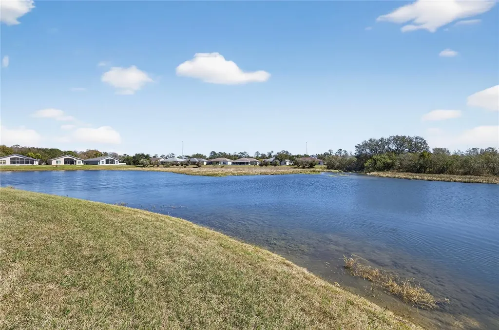 10824 Collar Drive San Antonio FL 33576