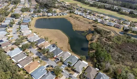 10824 Collar Drive San Antonio FL 33576
