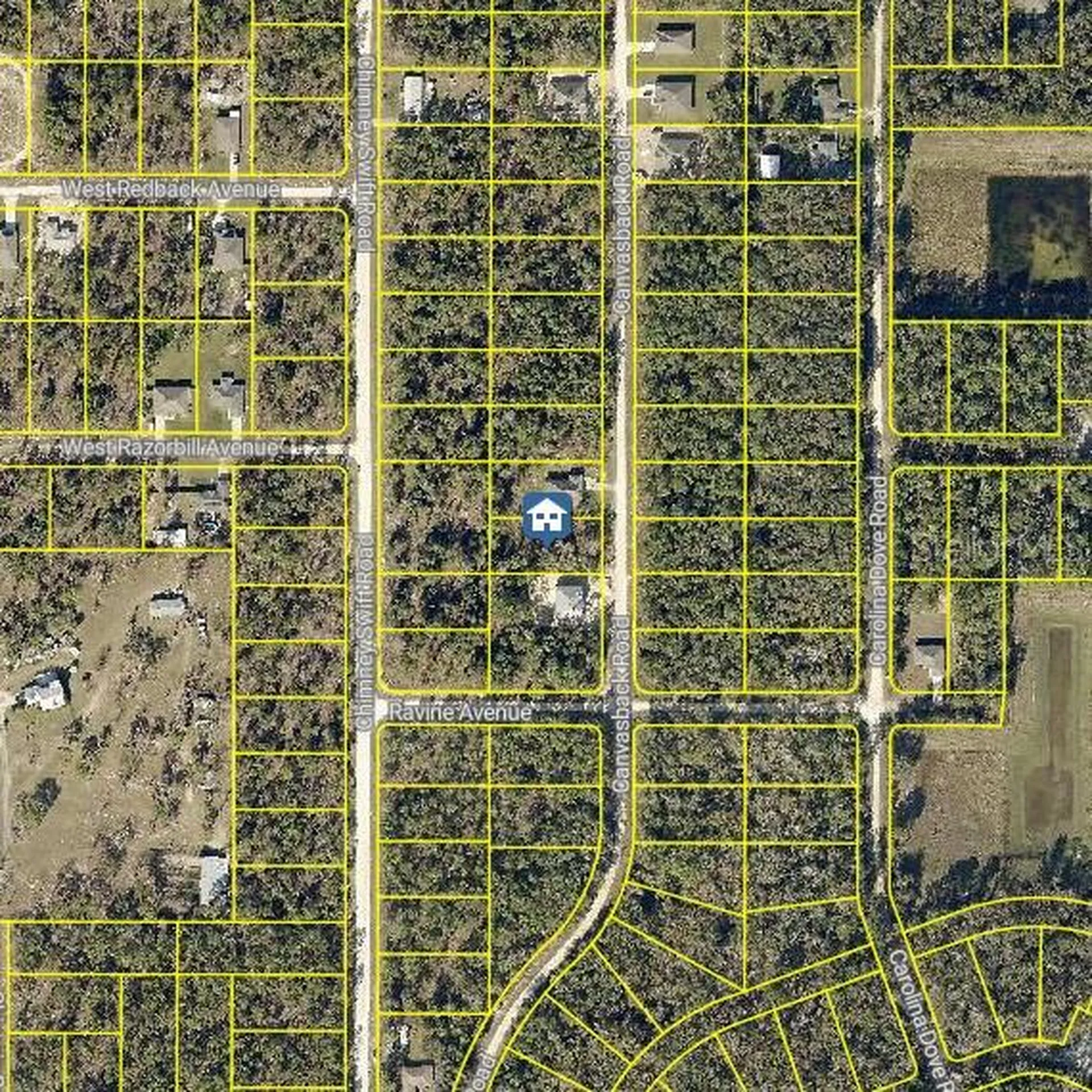 Lot 16 Canvasback Road Weeki Wachee FL 34614