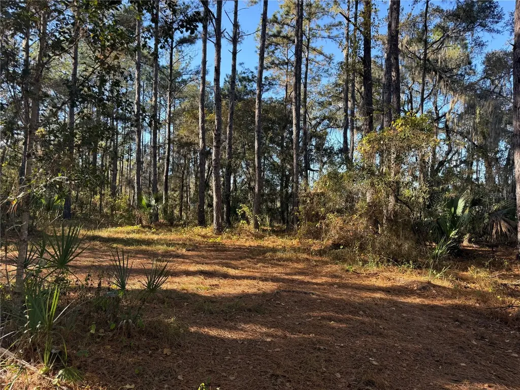 17221 SE 95th Street Road Ocklawaha FL 32179