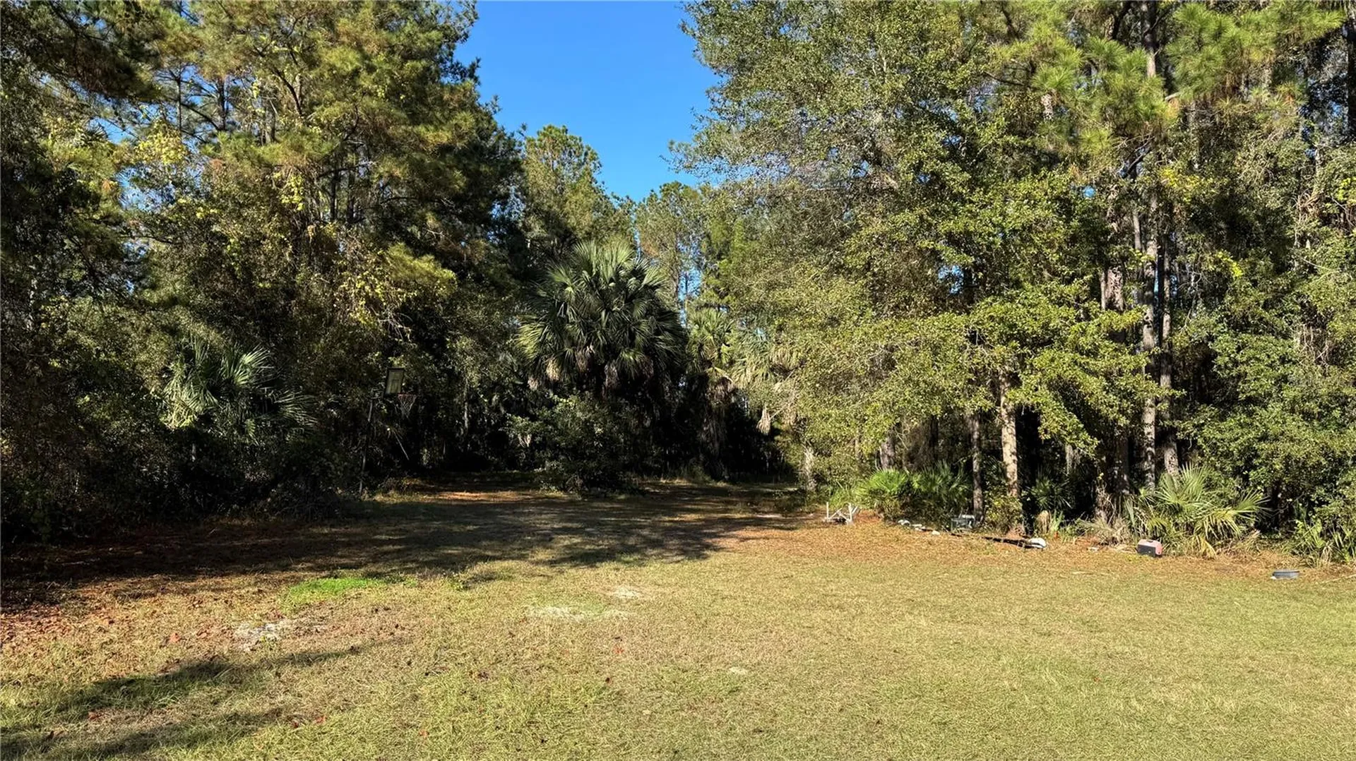 17221 SE 95th Street Road Ocklawaha FL 32179