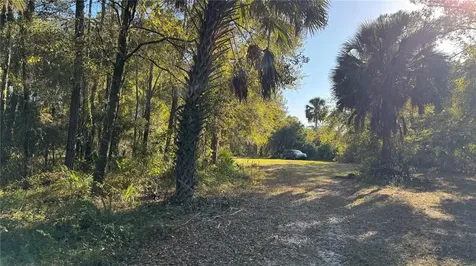 17221 SE 95th Street Road Ocklawaha FL 32179