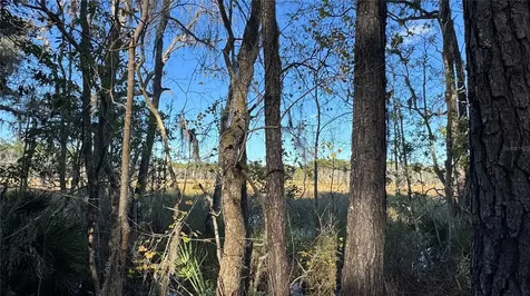 17221 SE 95th Street Road Ocklawaha FL 32179