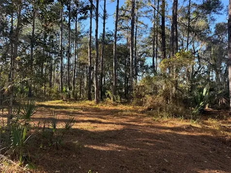 17221 SE 95th Street Road Ocklawaha FL 32179
