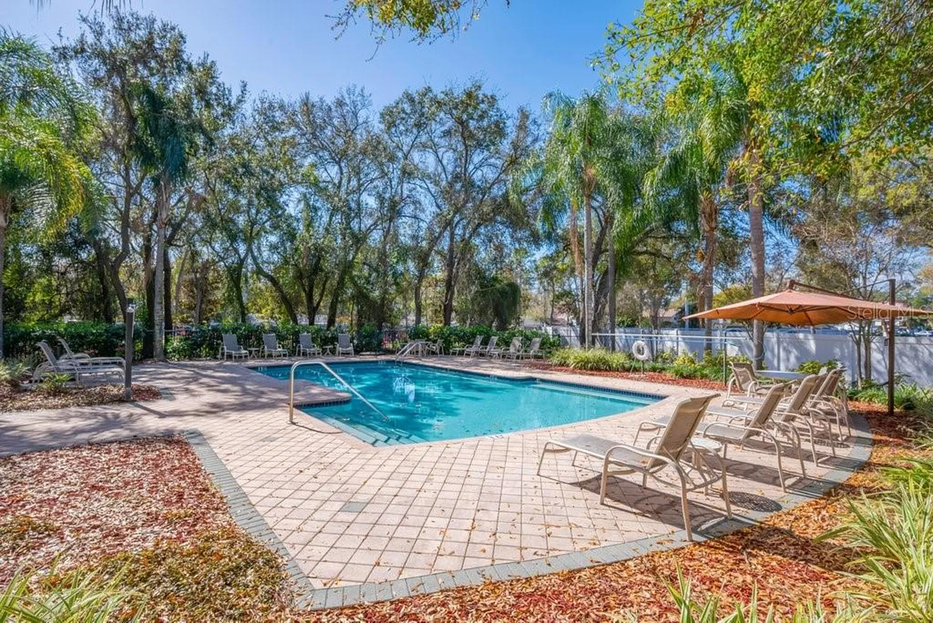 6607 Shining Sun Court Tampa FL 33634