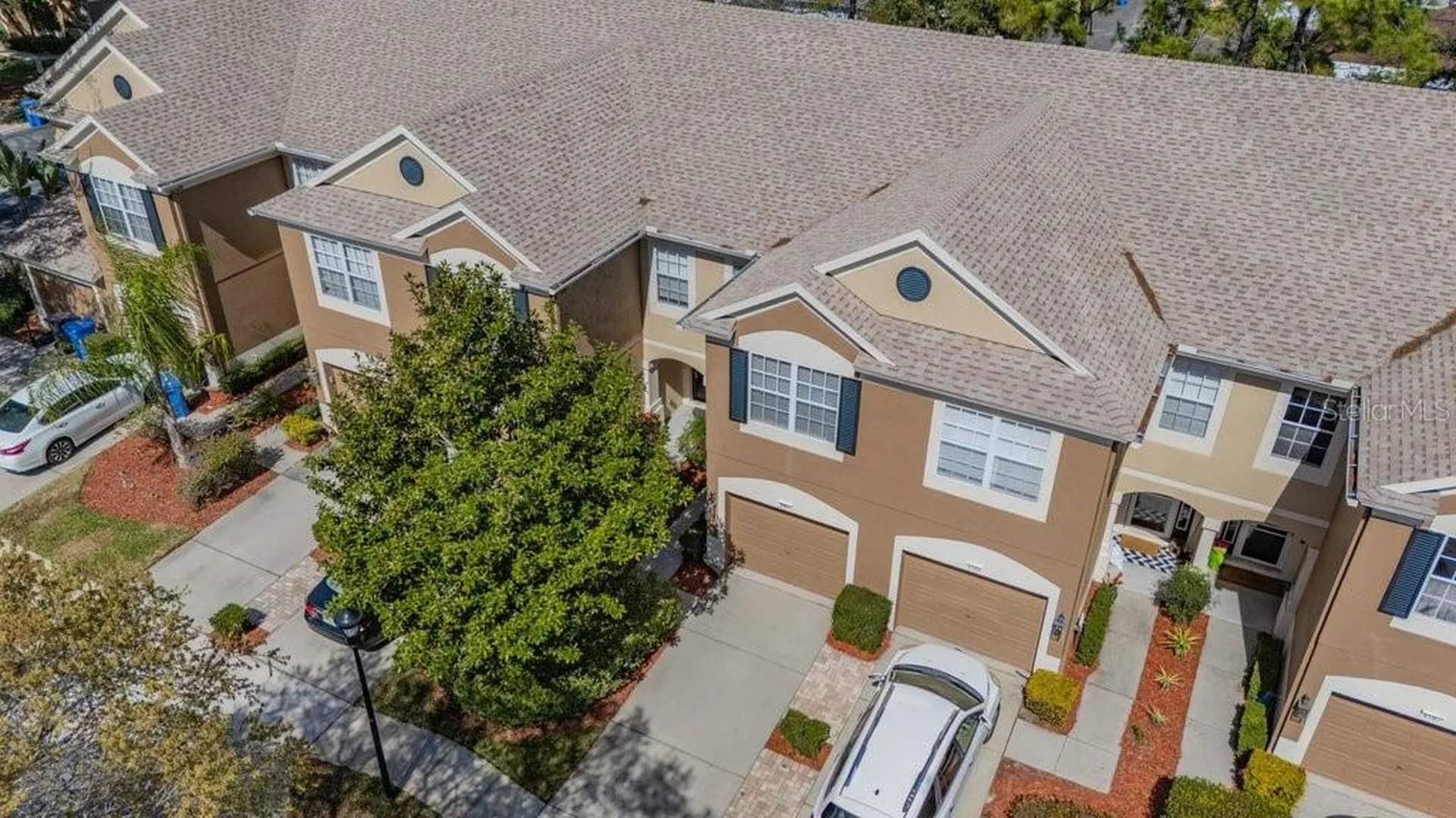 6607 Shining Sun Court Tampa FL 33634