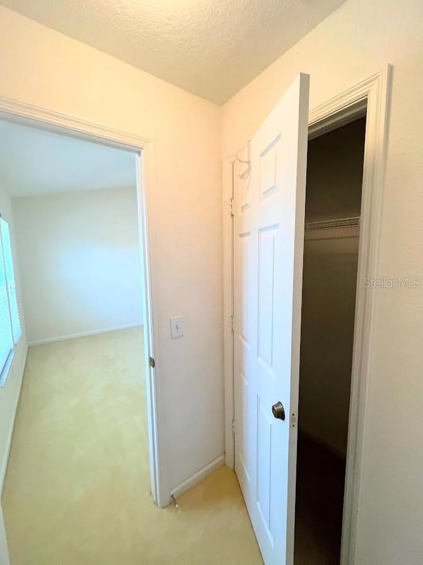 2534 Maneshaw Lane Kissimmee FL 34747
