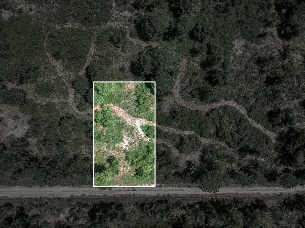 3341 Pheasant Avenue Lake Placid FL 33852