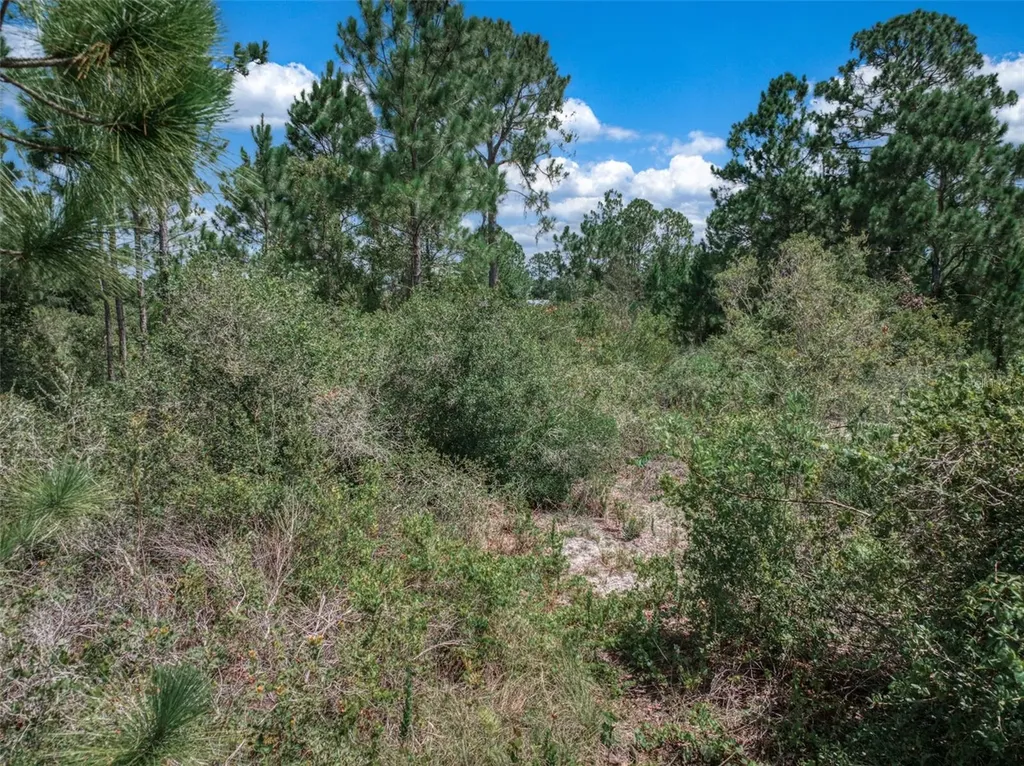 3341 Pheasant Avenue Lake Placid FL 33852