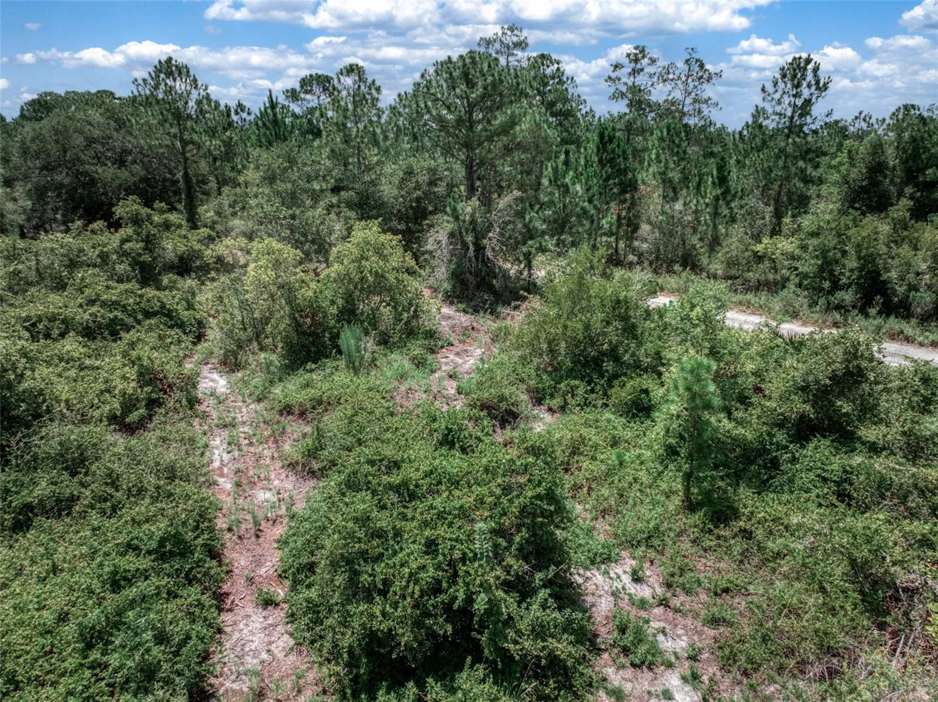 3341 Pheasant Avenue Lake Placid FL 33852