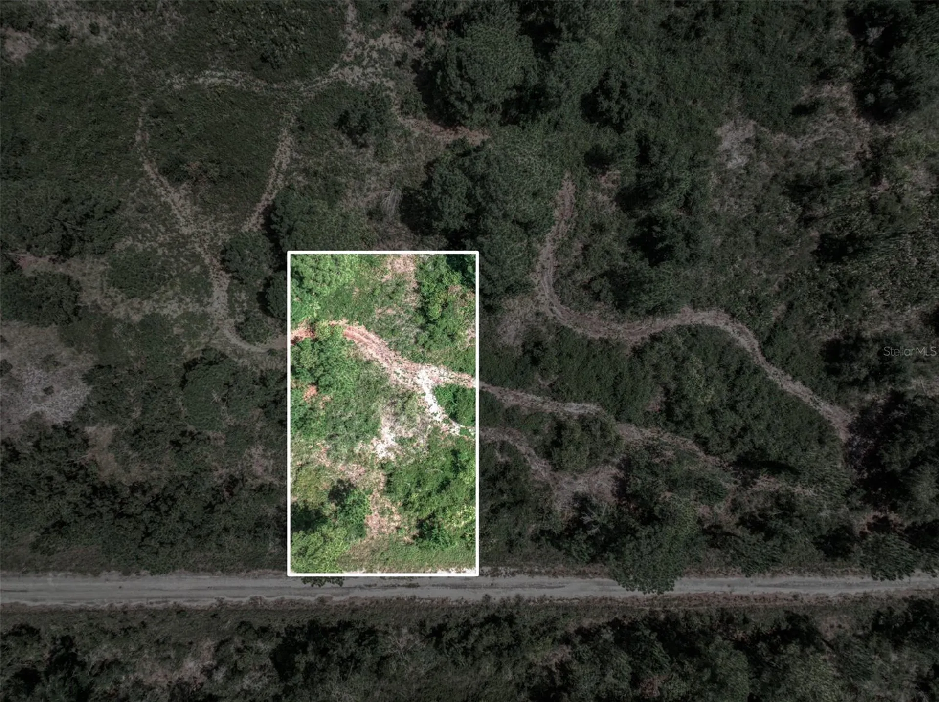 3341 Pheasant Avenue Lake Placid FL 33852