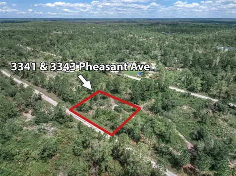 3341 Pheasant Avenue Lake Placid FL 33852