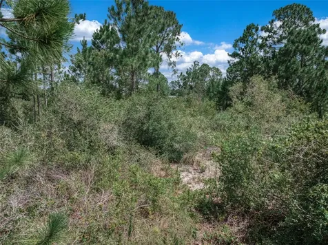 3341 Pheasant Avenue Lake Placid FL 33852