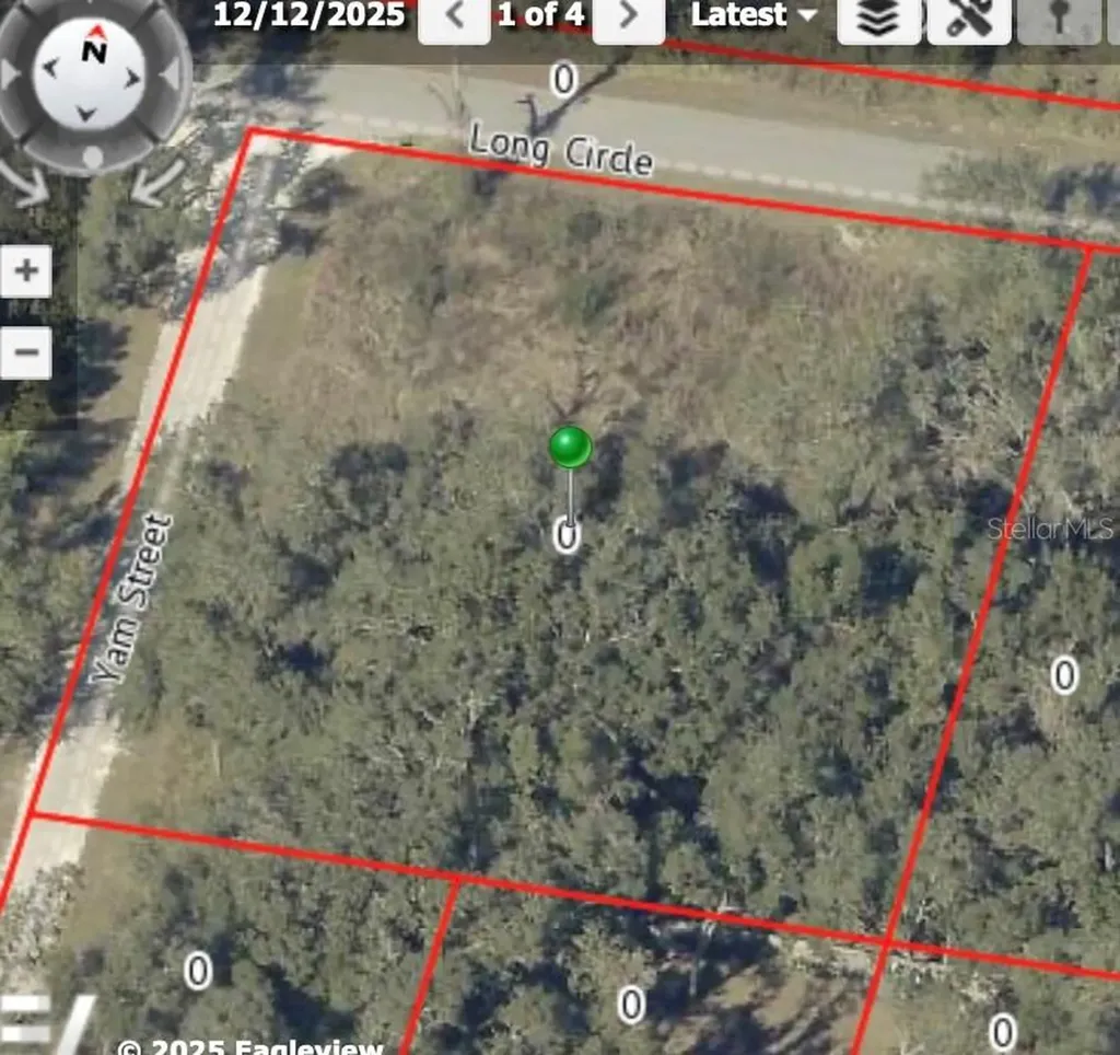 6436 Yam Street Webster FL 33597
