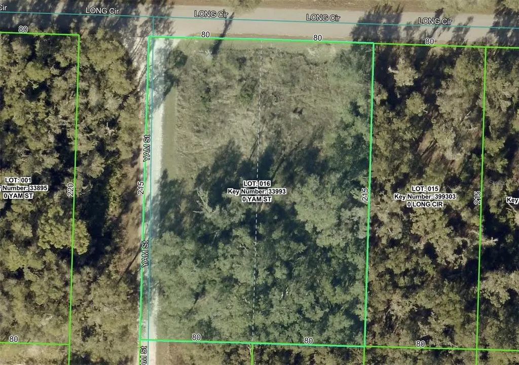 6436 Yam Street Webster FL 33597