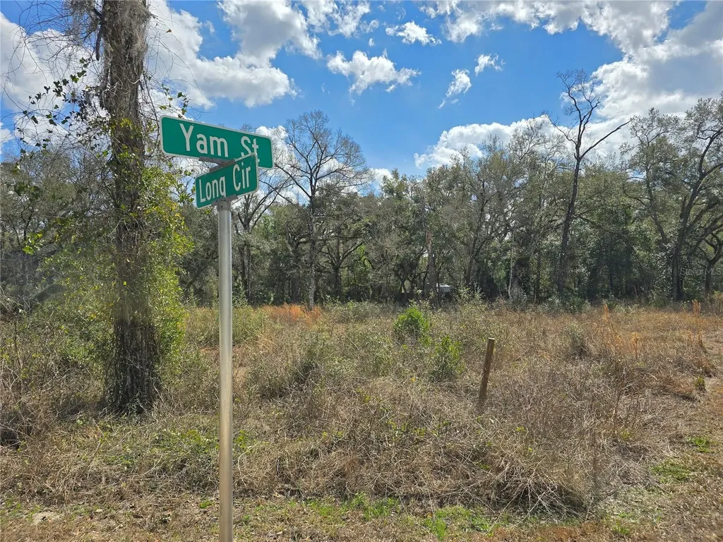 6436 Yam Street Webster FL 33597