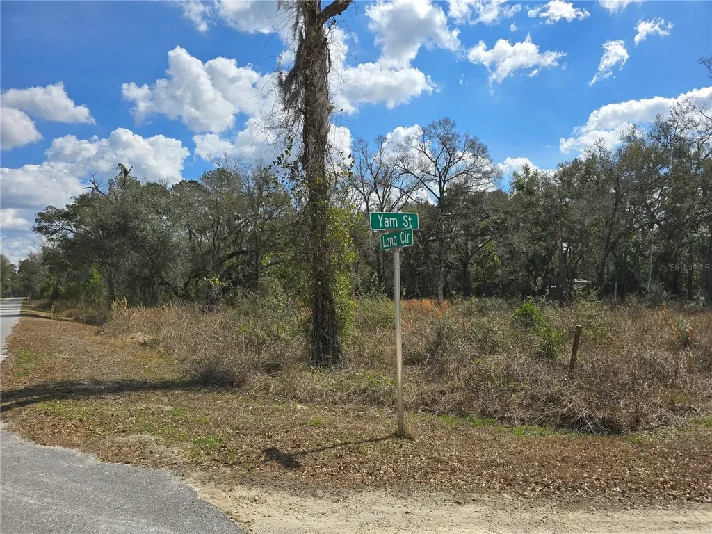 6436 Yam Street Webster FL 33597