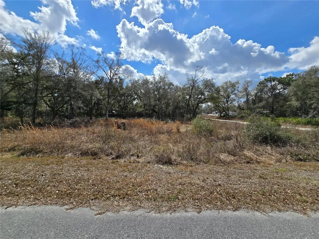 6436 Yam Street Webster FL 33597