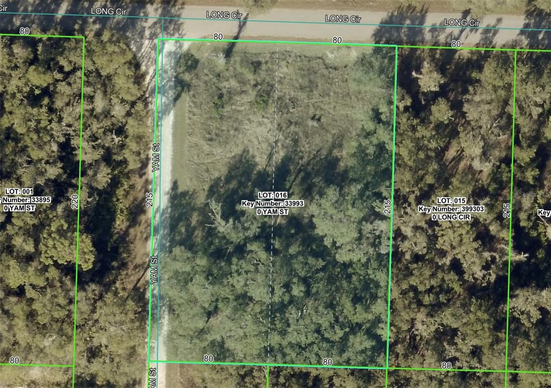 6436 Yam Street Webster FL 33597