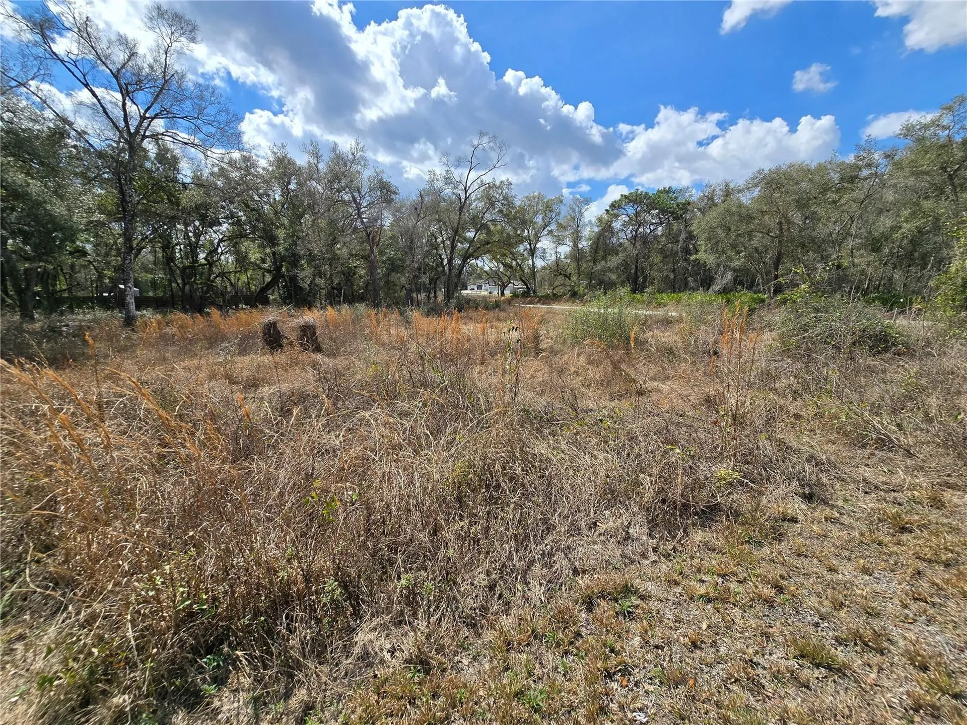 6436 Yam Street Webster FL 33597