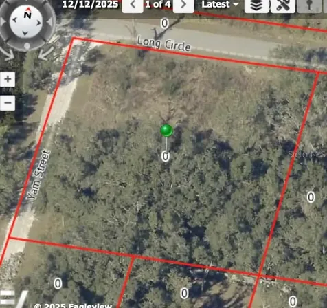 6436 Yam Street Webster FL 33597