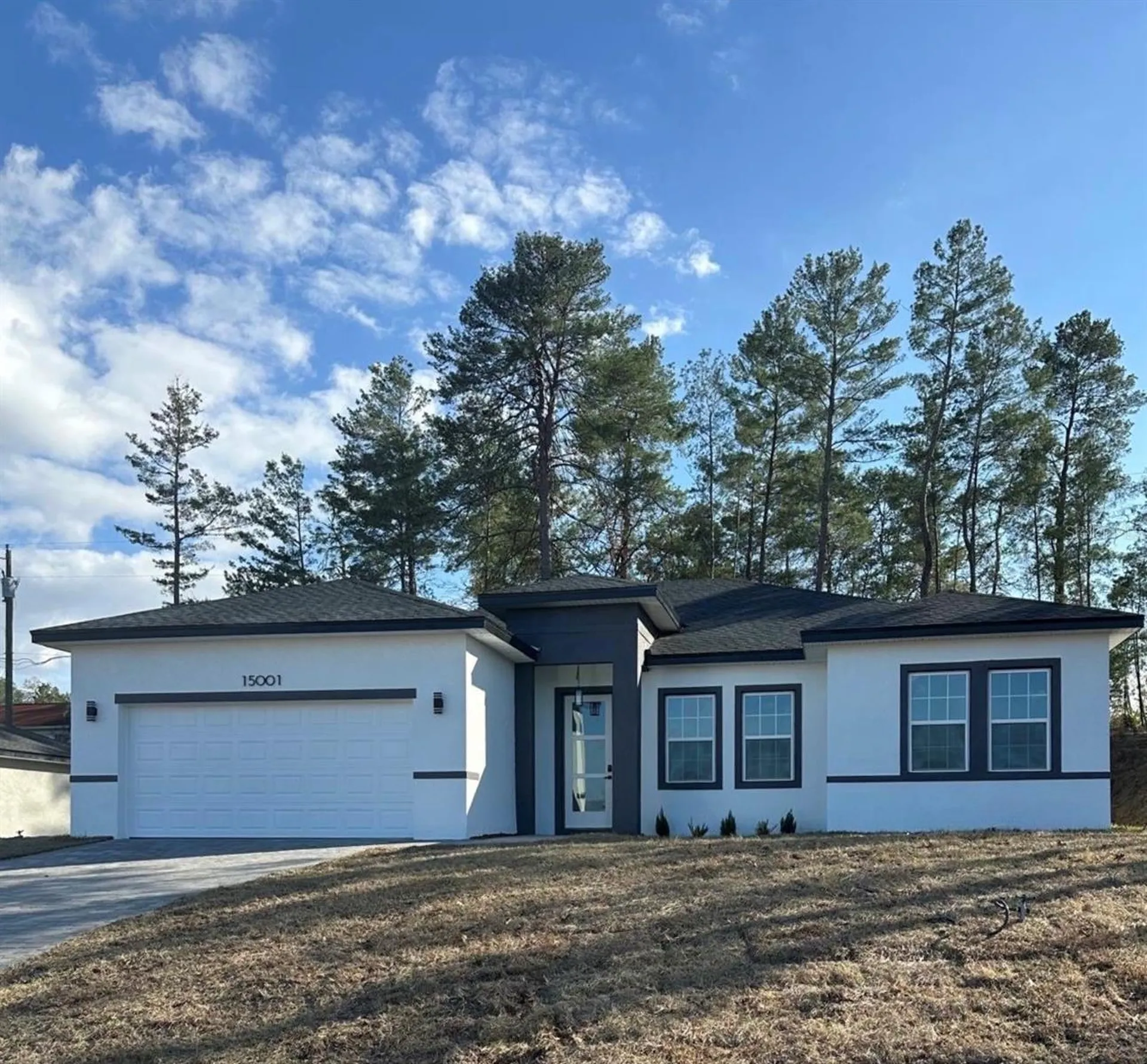 15001 SW 46th Circle Ocala FL 34473