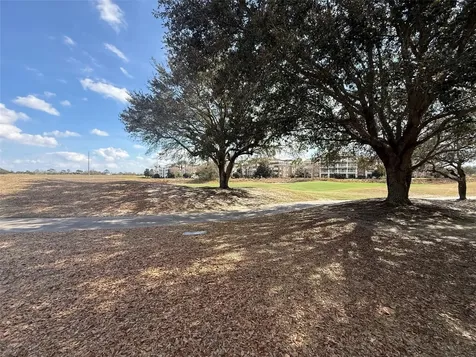 7610 Sandy Ridge Drive Reunion FL 34747