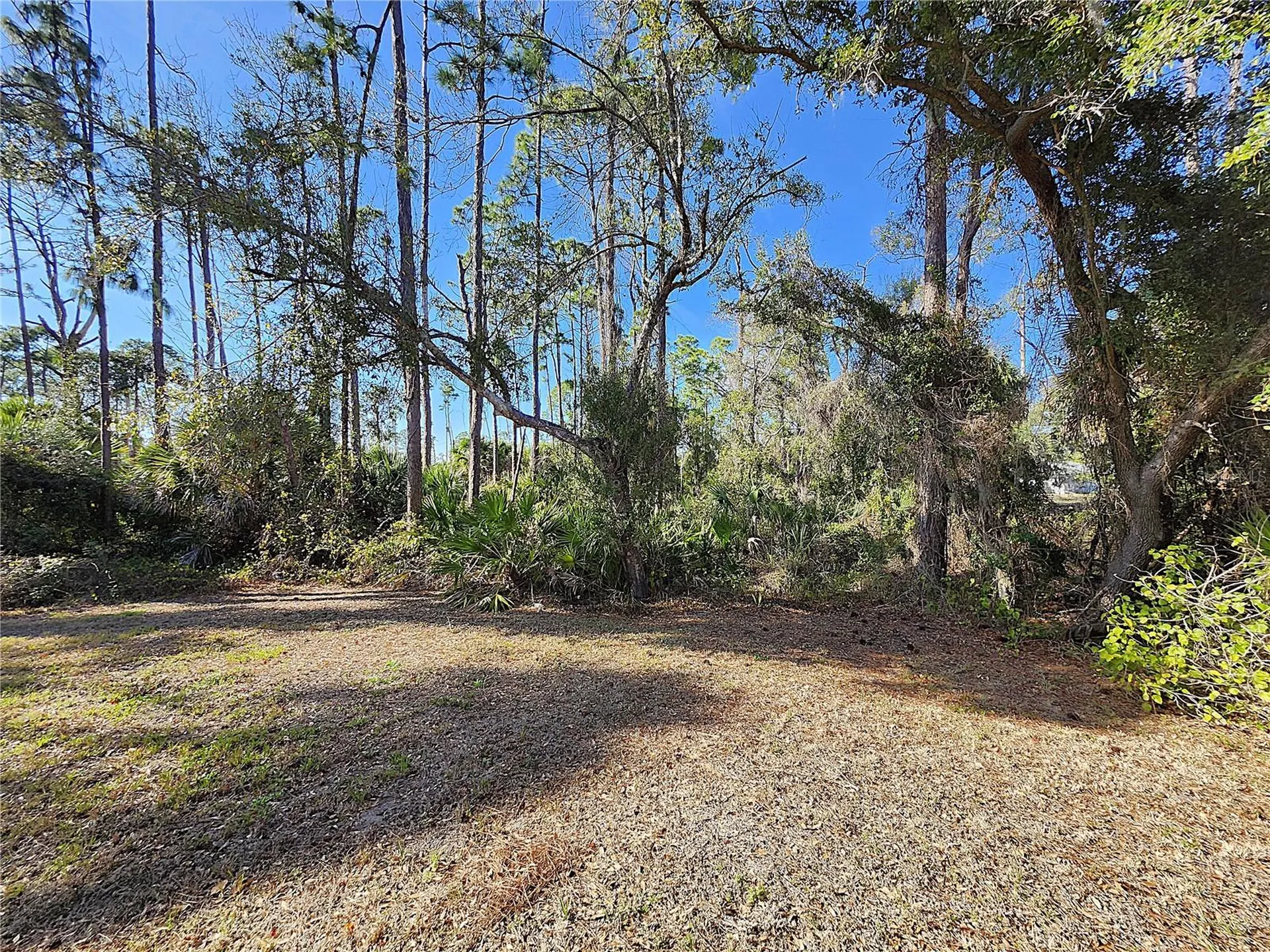 3161 Daphne Road North Port FL 34288
