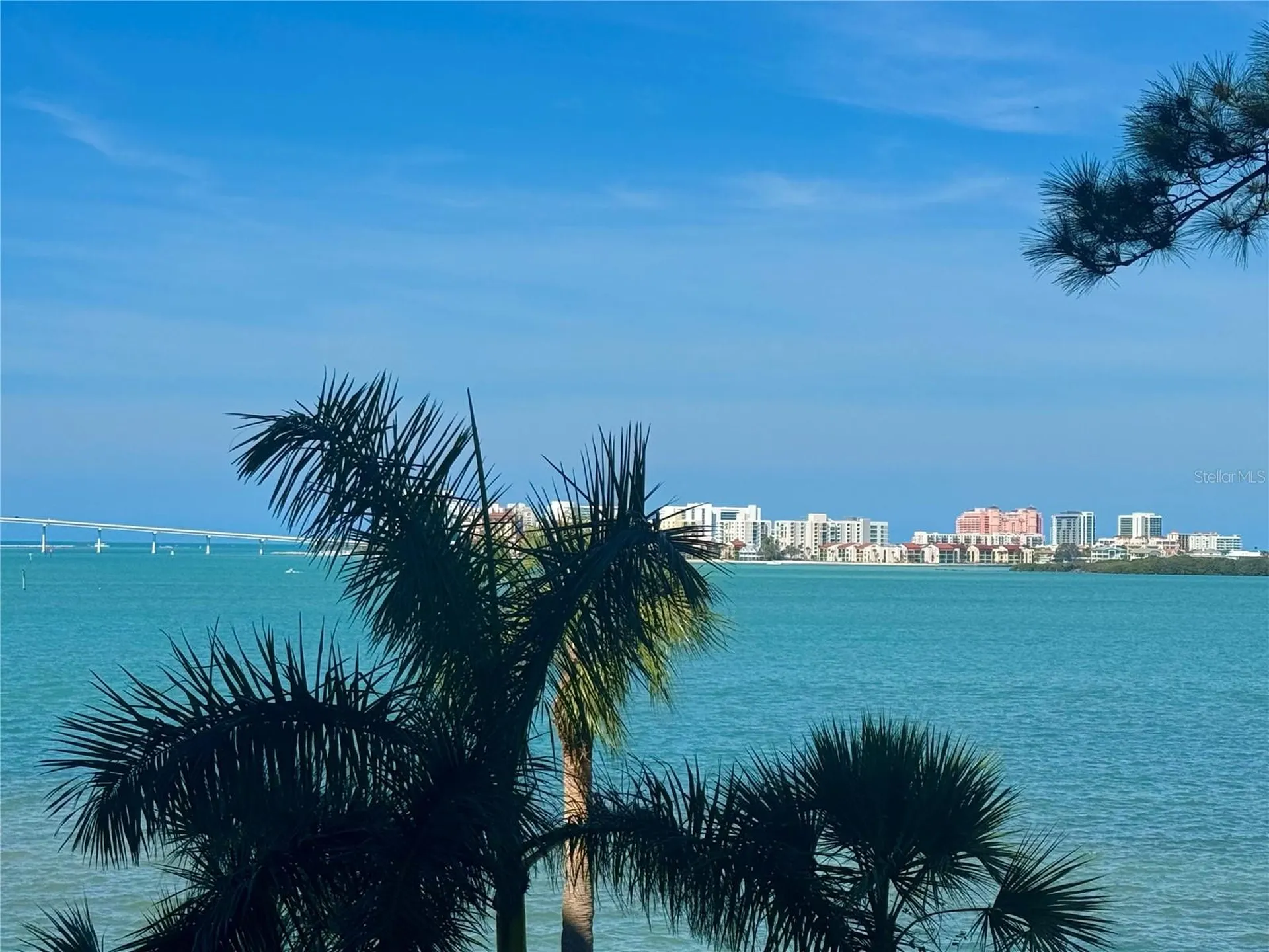 602 Lime Avenue Clearwater FL 33756