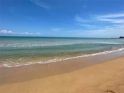 968 Camino Las Picuas Rio Grande PR 00745