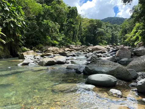 968 Camino Las Picuas Rio Grande PR 00745