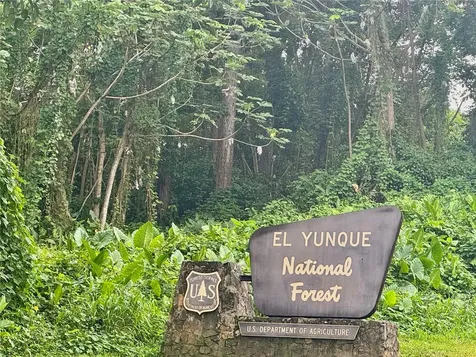968 Camino Las Picuas Rio Grande PR 00745