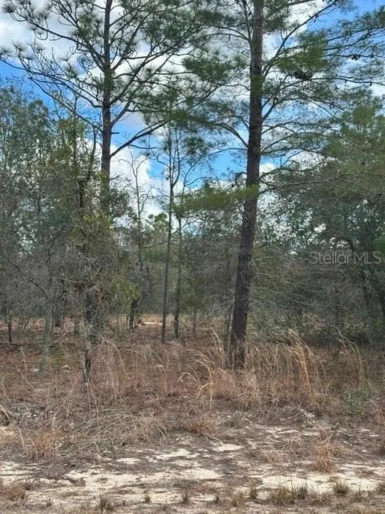 Dunnellon FL 34431