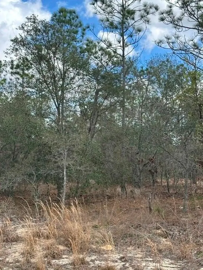 Dunnellon FL 34431