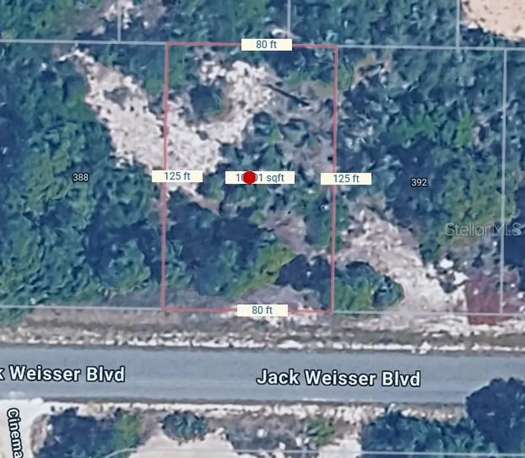 390 Jack Weisser Boulevard Lake Placid FL 33852